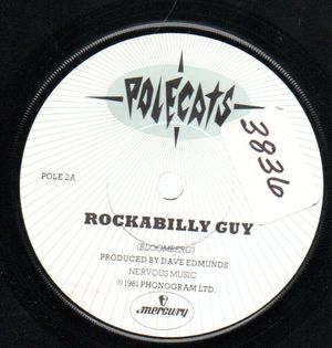 POLECATS, ROCKABUILLY GUY / DON'T CRY BABY 