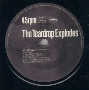 TEARDROP EXPLODES, YOU DISAPPEAR FROM VIEW / SUFFOCATE