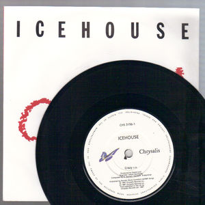 ICEHOUSE, CRAZY / COMPLETELY GONE (looks unplayed)