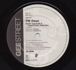 PM DAWN, REALITY USED TO BE A FRIEND OF MINE / COMATOSE 