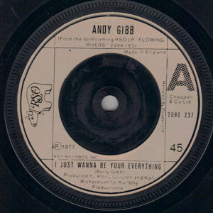 ANDY GIBB , I JUST WANNA BE YOUR  EVERYTHING / IN THE END 