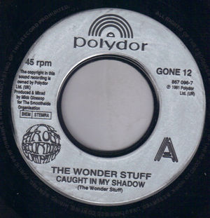 WONDER STUFF, CAUGHT IN MY SHADOW / GIMME SOME TRUTH