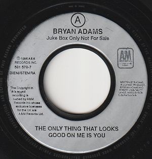 BRYAN ADAMS , THE ONLY THING THAT LOOKS GOOD ON ME IS YOU 