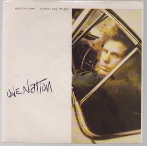ONE NATION , WHAT YOU SEE IS WHAT YOUVE GOT / WOT YOU SEE BLUES