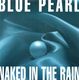 BLUE PEARL, NAKED IN THE RAIN / INSTRUMENTAL